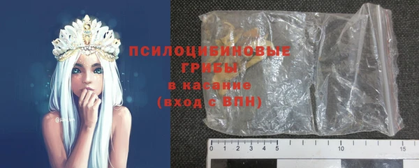 ГАЛЛЮЦИНОГЕННЫЕ ГРИБЫ Алексеевка