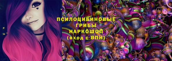 крисы Алексин